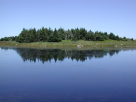 Nova Scotia, Canada